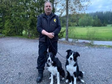 Hundar hittade droger för 60 000 kronor