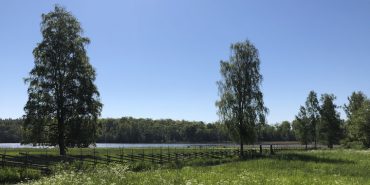 Naturaktiviteter på Borgmästarholmen 7 maj