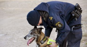 Hundpatrull spårade misstänkta tjuvar – TVÅ personer gripna av polis