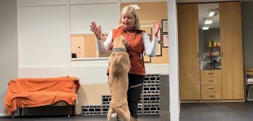 Agneta förlorade jobbet under Corona – startade eget hundcenter