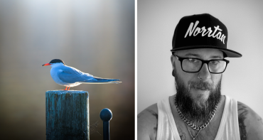 Norrtälje hamn lockar vackra fåglar – Robin fångar dem på bild