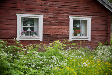 Håll koll på dina fönster – webbinarium i morgon