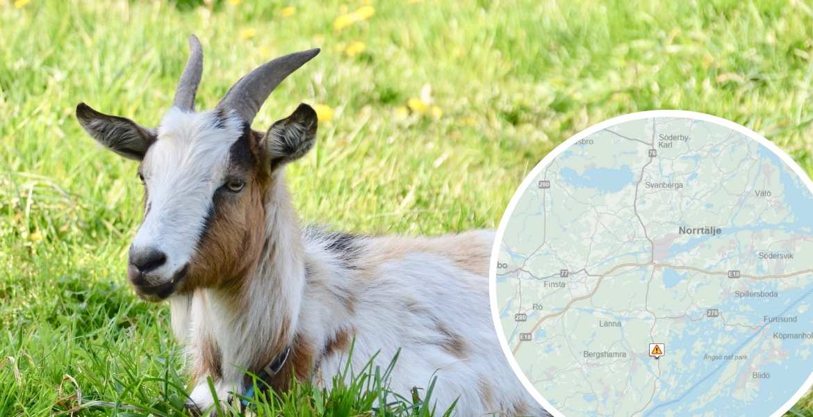 Get orsakar trafikstörning på väg 276