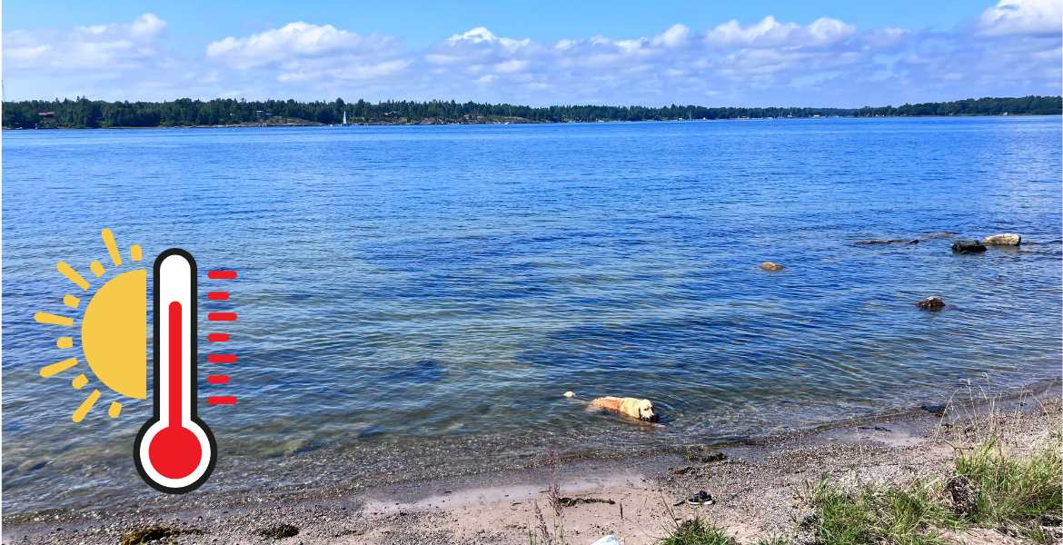 Varmaste badplatserna i Norrtälje kommun