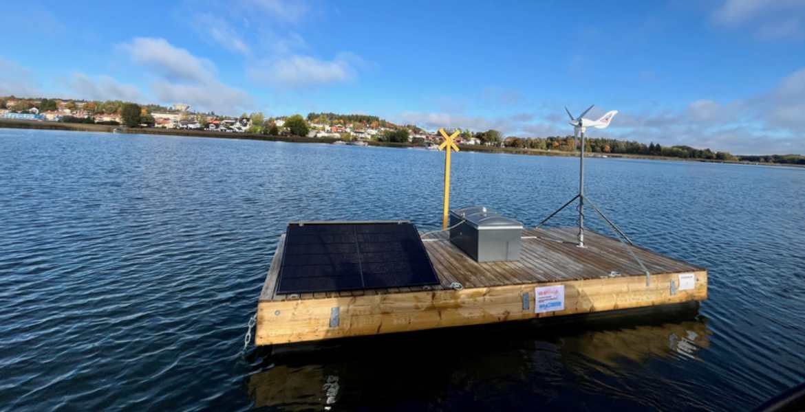 Flotte skrämmer bort sälar från Norrtäljeviken
