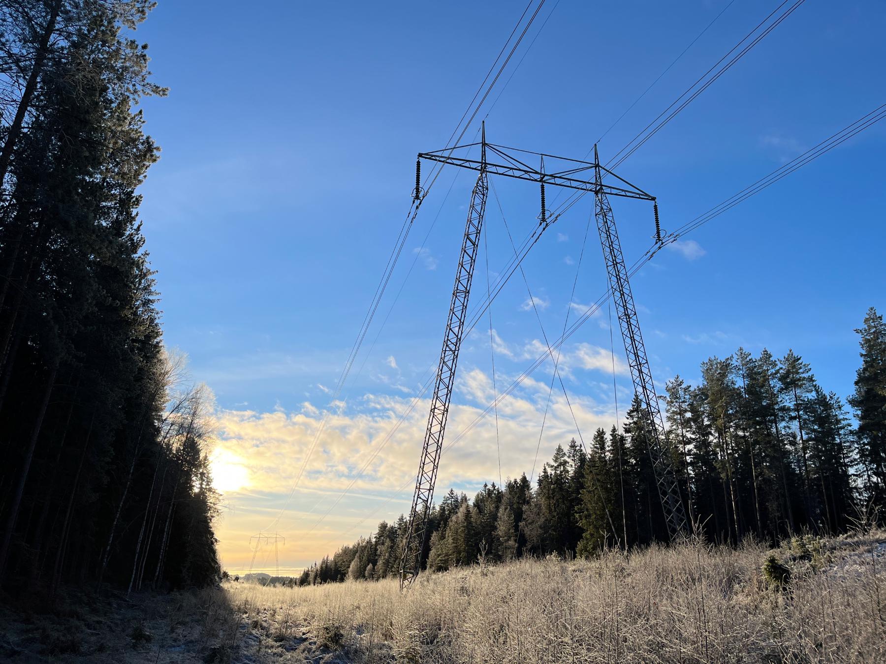 Rekord för vindkraften pressar elpriser i Norrtälje