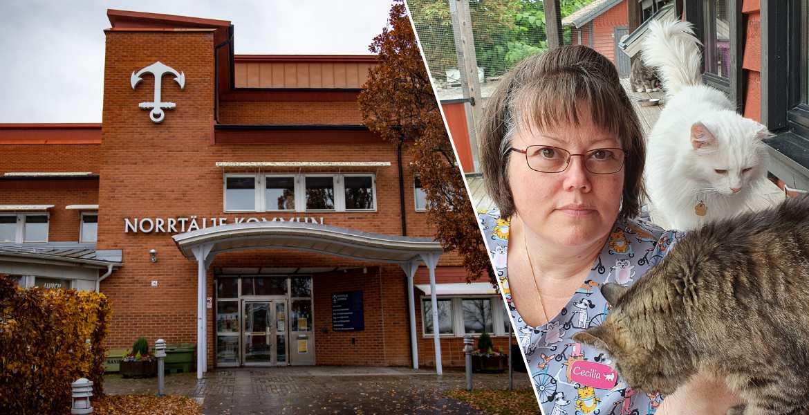 Bild på Norrtäljes kommunhus sammansatt med en bild på Cecilia Arnström från Norrtälje kattcenter.